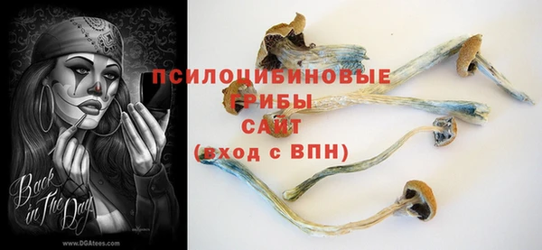 а пвп мука Липки