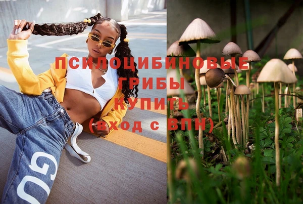 а пвп мука Липки