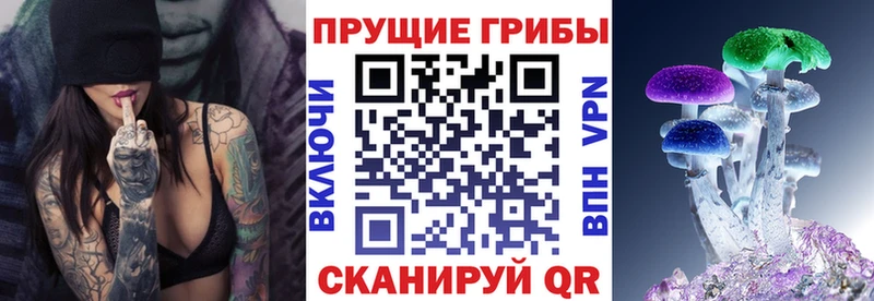 Псилоцибиновые грибы Psilocybine cubensis  Купить  Рошаль 