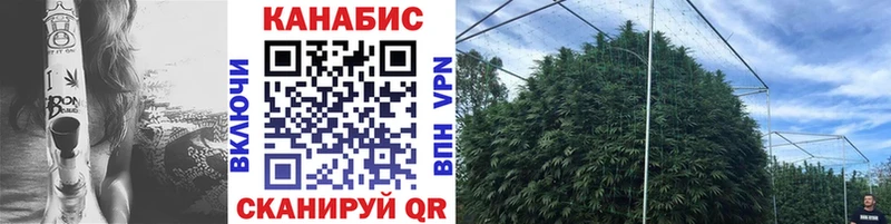 Марихуана OG Kush  Купить закладки  Рошаль 